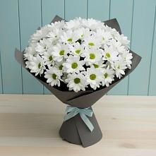 Букет цветов из:  Хризантемы в Угре