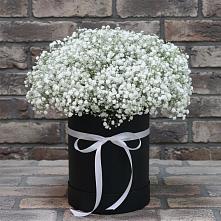 Цветочная композиция из Гипсофила в шляпной коробке в Угре