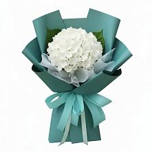 Букет цветов из:  Гортензия #REPLACE_PRED# Угре